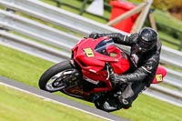 PJ-Motorsport-Photography-2020;anglesey;brands-hatch;cadwell-park;croft;donington-park;enduro-digital-images;event-digital-images;eventdigitalimages;mallory;no-limits;oulton-park;peter-wileman-photography;racing-digital-images;silverstone;snetterton;trackday-digital-images;trackday-photos;vmcc-banbury-run;welsh-2-day-enduro